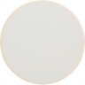 Настенный светильник (бра) Touchstone FR6002WL-L13W