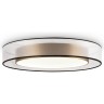 Потолочный светильник Zoticus FR6005CL-L48G